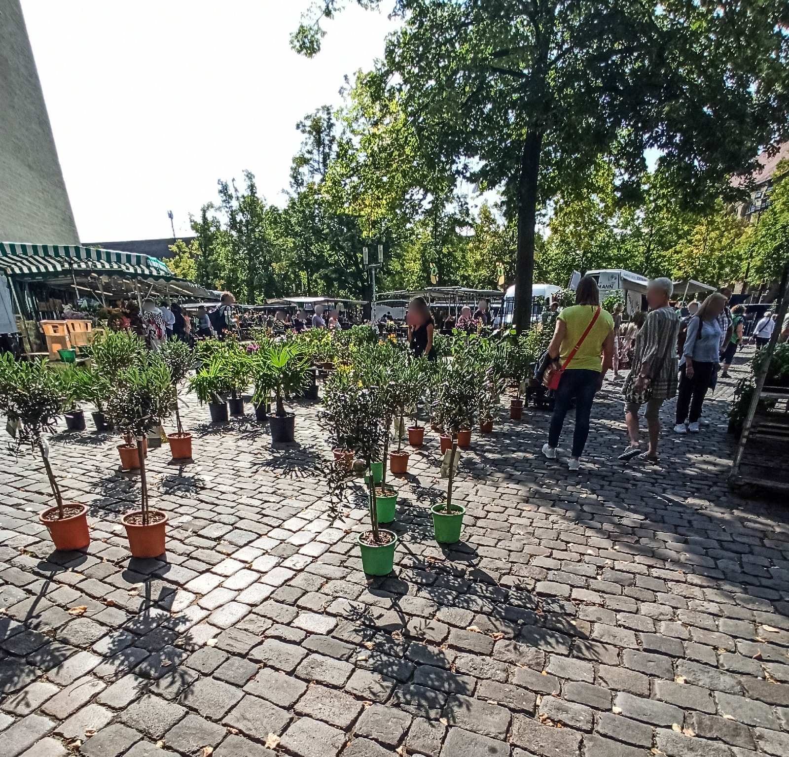 Wochenmarkt Münster